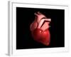 Conceptual Image of Human Heart-null-Framed Art Print