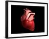 Conceptual Image of Human Heart-null-Framed Art Print