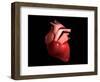 Conceptual Image of Human Heart-null-Framed Art Print