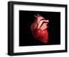 Conceptual Image of Human Heart-null-Framed Art Print