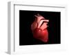 Conceptual Image of Human Heart-null-Framed Art Print