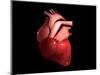 Conceptual Image of Human Heart-null-Mounted Art Print