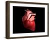 Conceptual Image of Human Heart-null-Framed Art Print