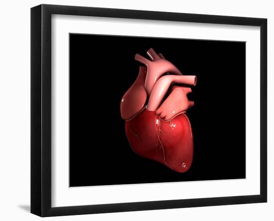 Conceptual Image of Human Heart-null-Framed Art Print