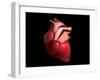 Conceptual Image of Human Heart-null-Framed Art Print