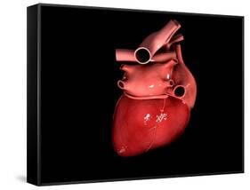 Conceptual Image of Human Heart-null-Framed Stretched Canvas