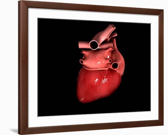 Conceptual Image of Human Heart-null-Framed Art Print