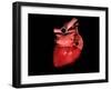 Conceptual Image of Human Heart-null-Framed Art Print