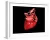 Conceptual Image of Human Heart-null-Framed Art Print