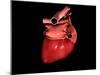 Conceptual Image of Human Heart-null-Mounted Art Print