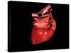 Conceptual Image of Human Heart-null-Stretched Canvas