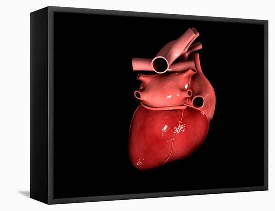 Conceptual Image of Human Heart-null-Framed Stretched Canvas