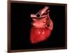 Conceptual Image of Human Heart-null-Framed Art Print