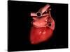 Conceptual Image of Human Heart-null-Stretched Canvas