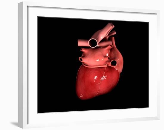 Conceptual Image of Human Heart-null-Framed Art Print