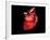 Conceptual Image of Human Heart-null-Framed Art Print