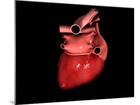 Conceptual Image of Human Heart-null-Mounted Art Print