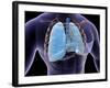 Conceptual Image of Human Lungs and Rib Cage-null-Framed Art Print