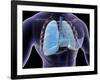 Conceptual Image of Human Lungs and Rib Cage-null-Framed Art Print