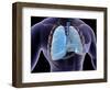 Conceptual Image of Human Lungs and Rib Cage-null-Framed Art Print