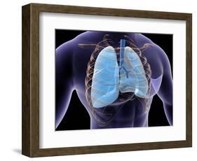 Conceptual Image of Human Lungs and Rib Cage-null-Framed Art Print