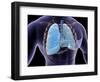 Conceptual Image of Human Lungs and Rib Cage-null-Framed Art Print