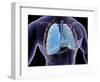 Conceptual Image of Human Lungs and Rib Cage-null-Framed Art Print