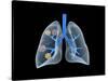 Conceptual Image of Human Lungs-null-Stretched Canvas