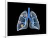 Conceptual Image of Human Lungs-null-Framed Art Print