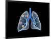 Conceptual Image of Human Lungs-null-Framed Art Print