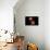 Conceptual Image of Human Male Reproductive Organs-null-Mounted Art Print displayed on a wall
