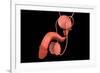 Conceptual Image of Human Male Reproductive Organs-null-Framed Art Print