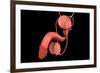 Conceptual Image of Human Male Reproductive Organs-null-Framed Art Print