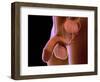 Conceptual Image of Human Male Reproductive Organs-null-Framed Premium Giclee Print