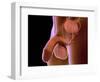 Conceptual Image of Human Male Reproductive Organs-null-Framed Premium Giclee Print