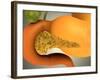 Conceptual Image of Human Pancreas and Stomach-null-Framed Art Print