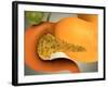 Conceptual Image of Human Pancreas and Stomach-null-Framed Art Print