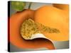 Conceptual Image of Human Pancreas and Stomach-null-Stretched Canvas