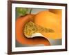 Conceptual Image of Human Pancreas and Stomach-null-Framed Art Print