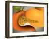 Conceptual Image of Human Pancreas and Stomach-null-Framed Art Print