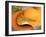 Conceptual Image of Human Pancreas and Stomach-null-Framed Art Print