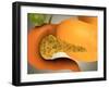 Conceptual Image of Human Pancreas and Stomach-null-Framed Art Print