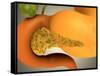 Conceptual Image of Human Pancreas and Stomach-null-Framed Stretched Canvas
