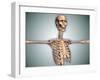Conceptual Image of Human Rib Cage and Spinal Cord with Skull-null-Framed Art Print