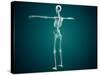 Conceptual Image of Human Skeletal System-null-Stretched Canvas