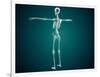 Conceptual Image of Human Skeletal System-null-Framed Art Print