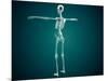 Conceptual Image of Human Skeletal System-null-Mounted Art Print