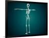 Conceptual Image of Human Skeletal System-null-Framed Art Print