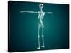 Conceptual Image of Human Skeletal System-null-Stretched Canvas