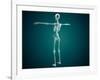 Conceptual Image of Human Skeletal System-null-Framed Art Print